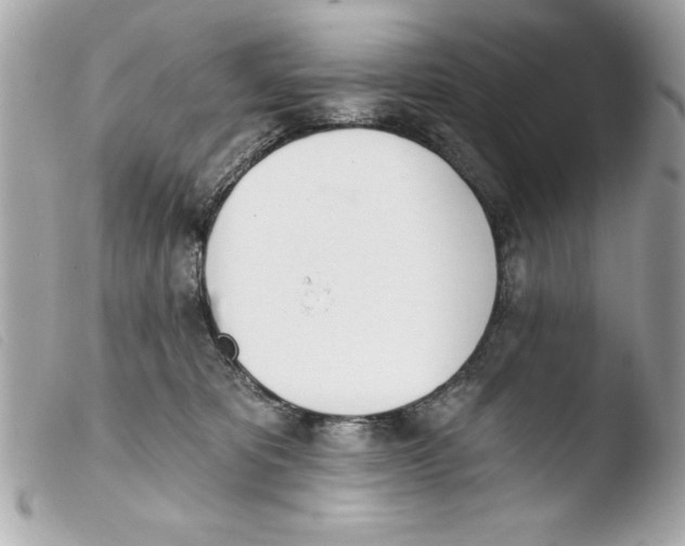 X0000103470325200810100941