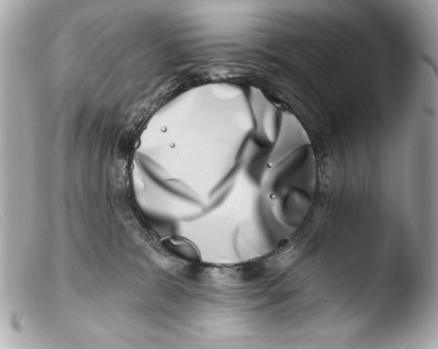 X0000103470327200810100941
