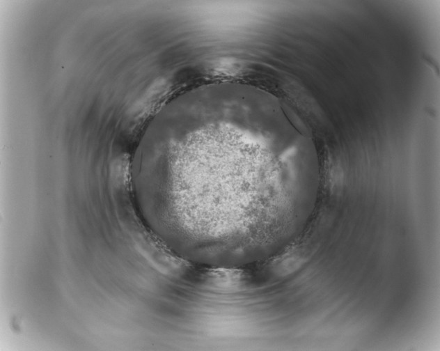 X0000103470328200810100941