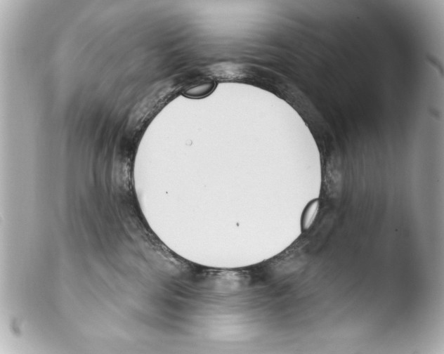 X0000103470330200810100941