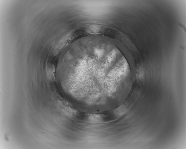 X0000103470332200810100941