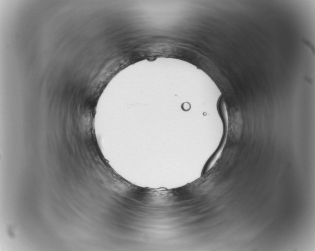 X0000103470333200810100941