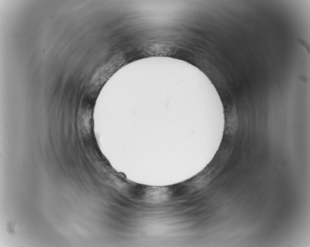 X0000103470334200810100941