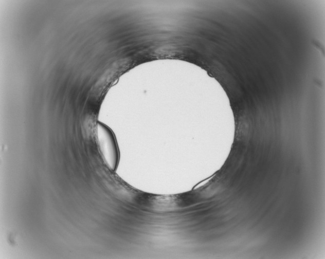X0000103470335200810100941