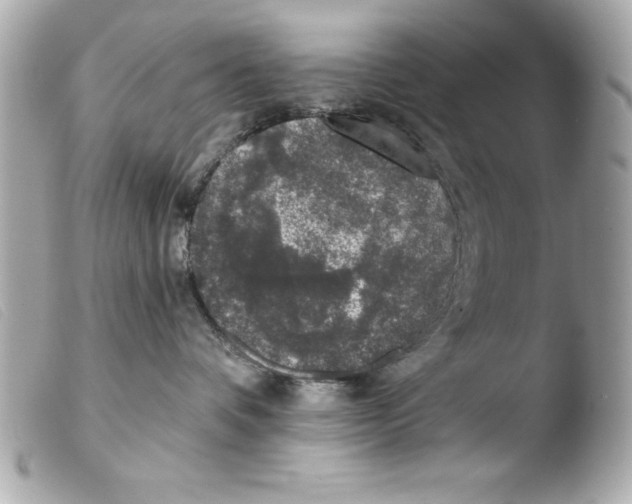 X0000103470336200810100941