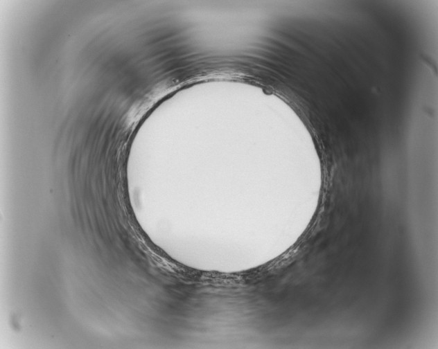 X0000103470337200810100940