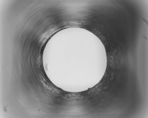X0000103470338200810100940