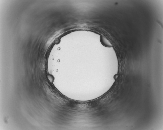 X0000103470344200810100940