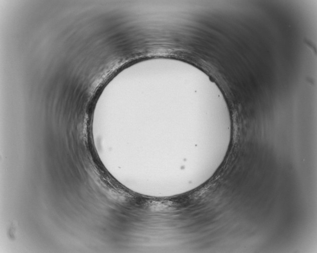 X0000103470346200810100940