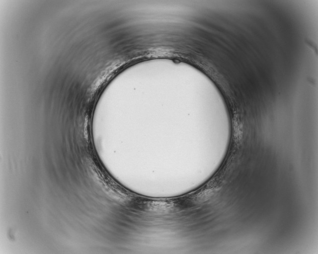 X0000103470347200810100940