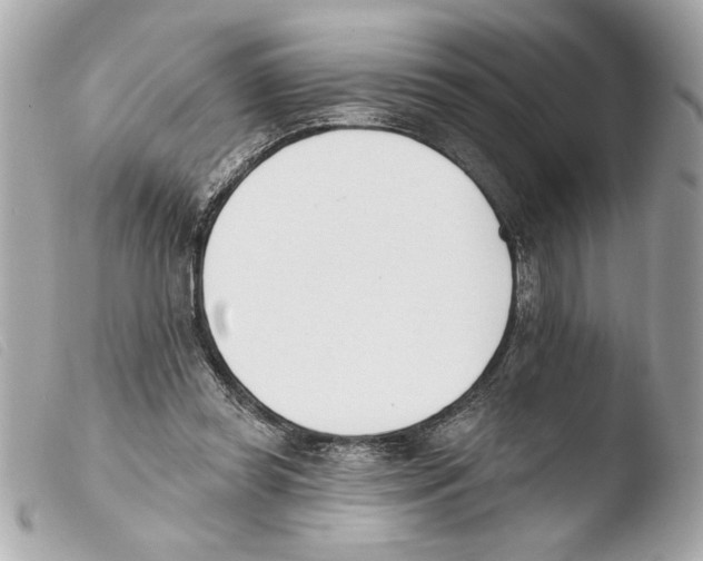 X0000103470349200810100940