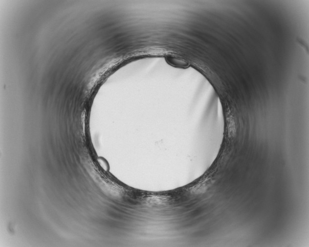 X0000103470350200810100940