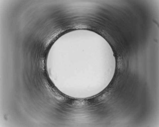 X0000103470351200810100940