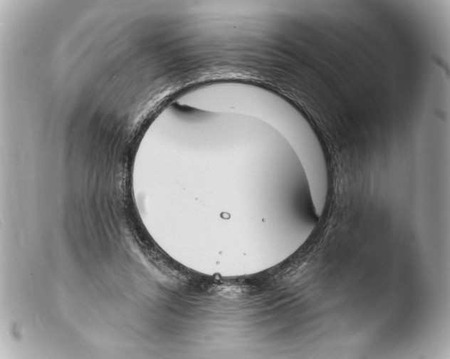 X0000103470352200810100940