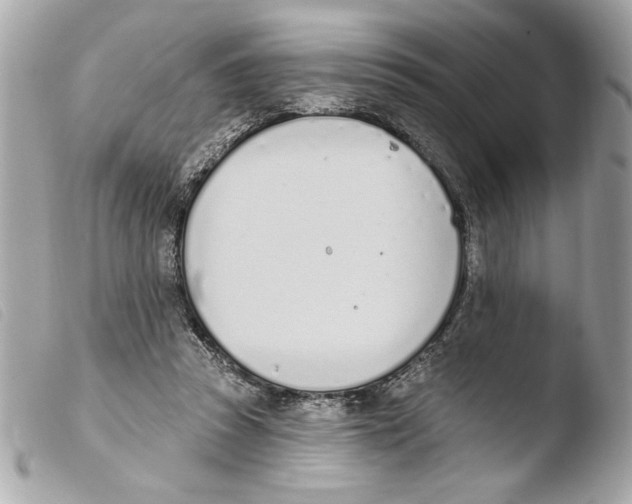 X0000103470353200810100940