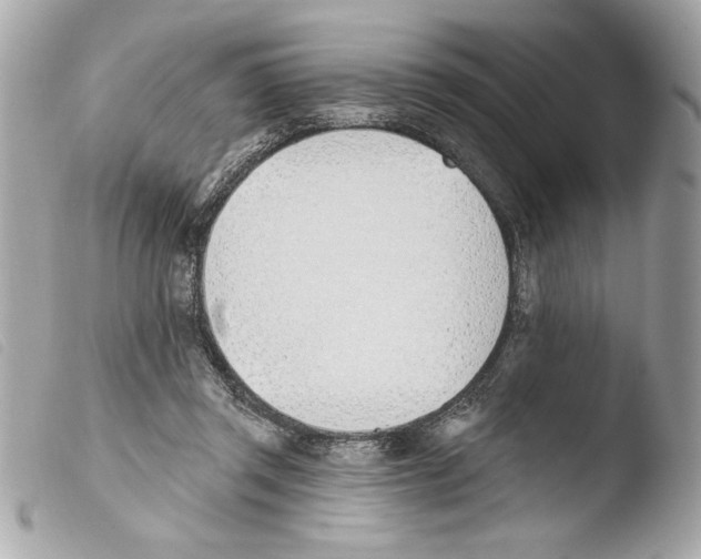 X0000103470357200810100940