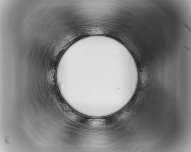 X0000103470359200810100940