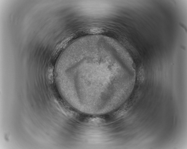 X0000103470360200810100940