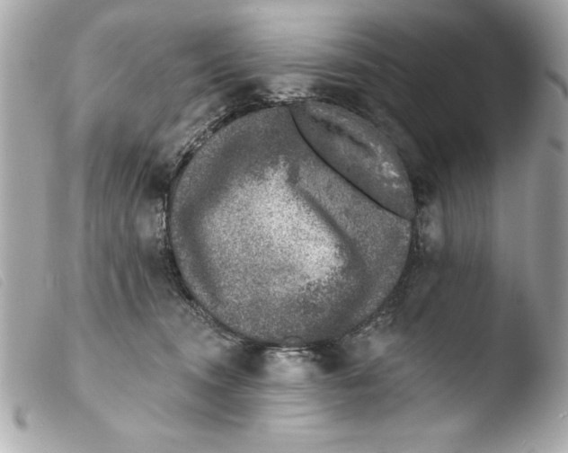 X0000103470372200810100940