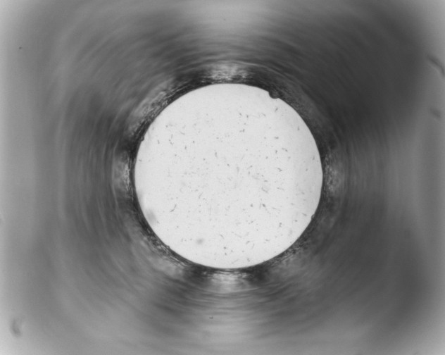 X0000103470375200810100940