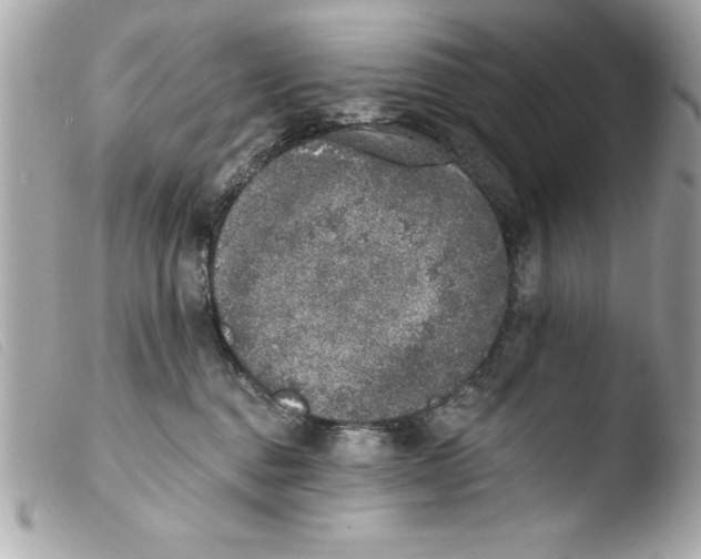 X0000103470376200810100940