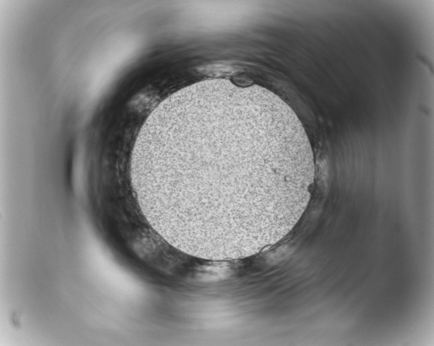 X0000103470381200810100941