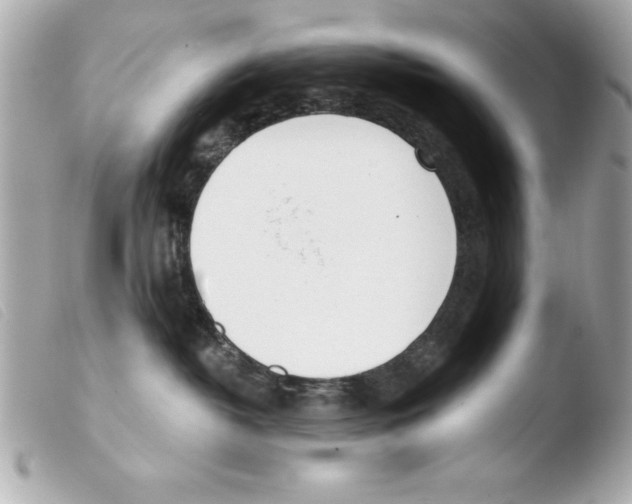 X0000103470382200810100941