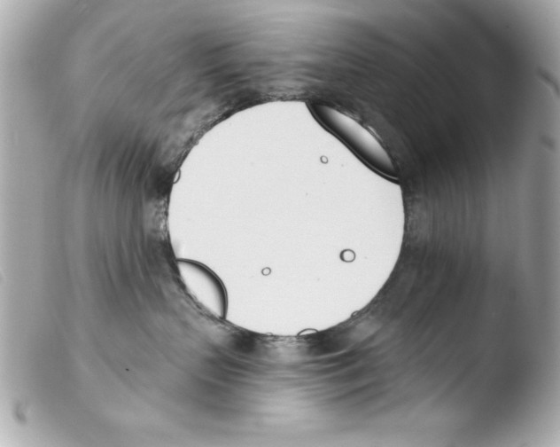 X0000103470383200810100941