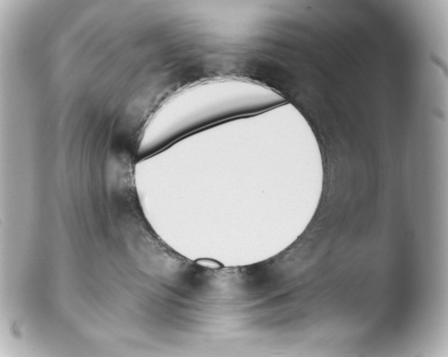 X0000103470384200810100941