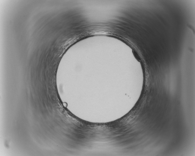 X0000103470385200810100940