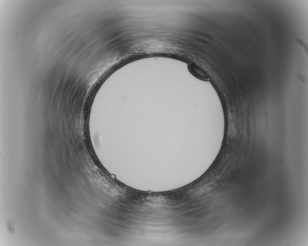 X0000103470391200810100940