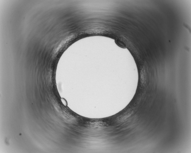 X0000103470396200810100940