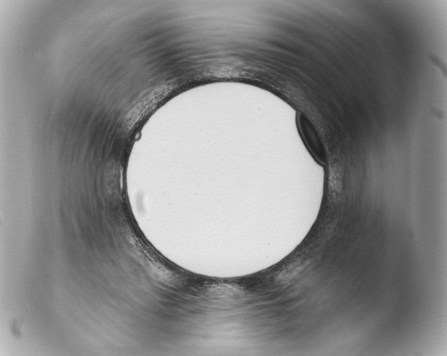 X0000103470397200810100940