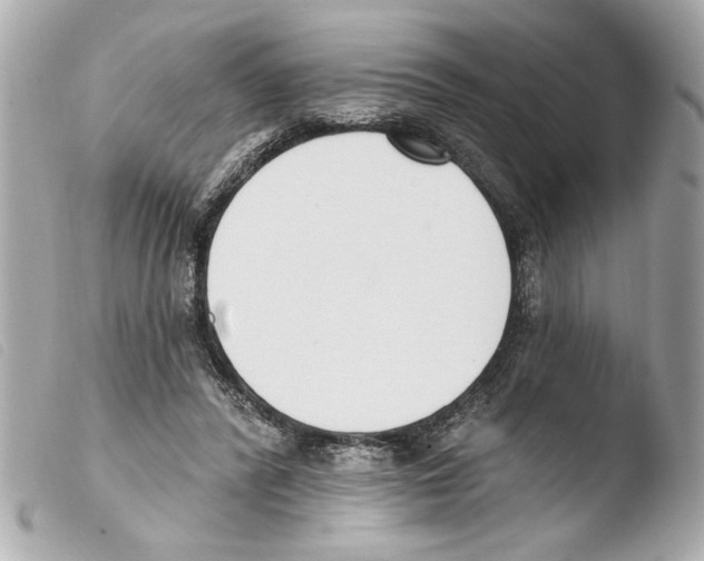 X0000103470400200810100940