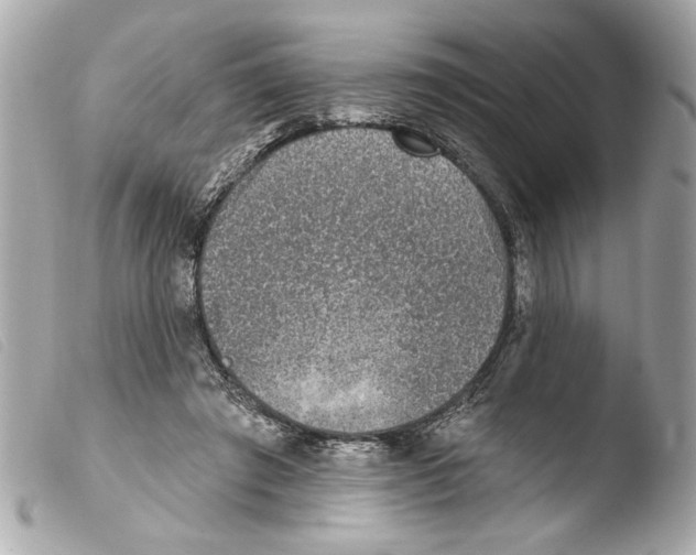 X0000103470401200810100940