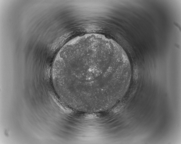 X0000103470405200810100940