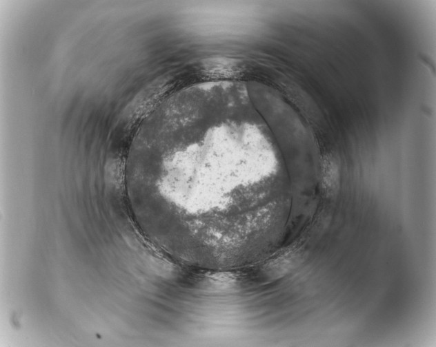 X0000103470409200810100940