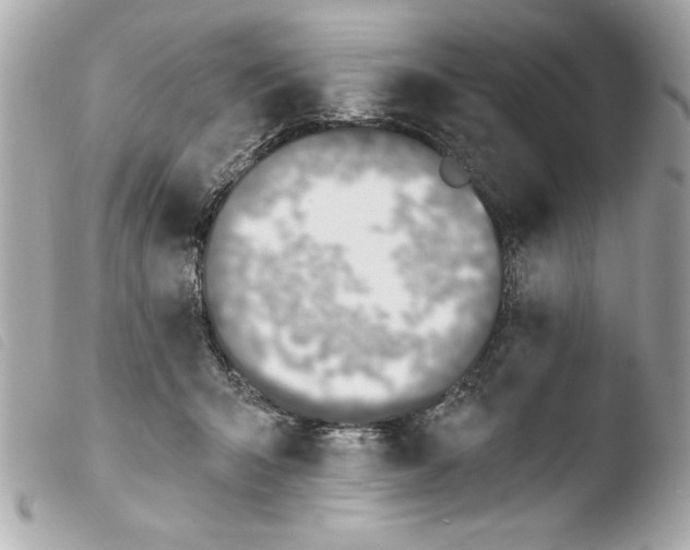 X0000103470415200810100939