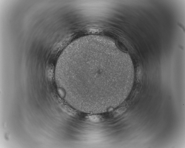 X0000103470417200810100939