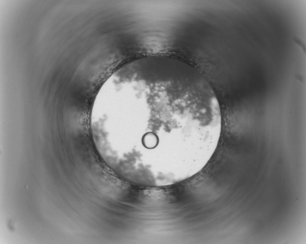 X0000103470419200810100939