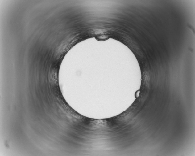 X0000103470421200810100939