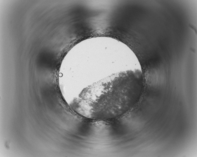 X0000103470423200810100939
