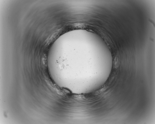 X0000103470424200810100939