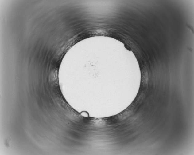 X0000103470425200810100939
