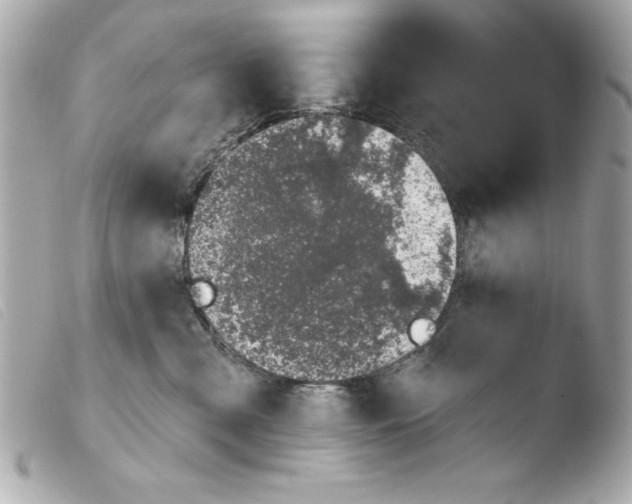 X0000103470427200810100939
