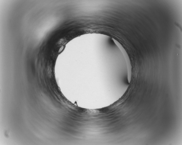X0000103470429200810100939