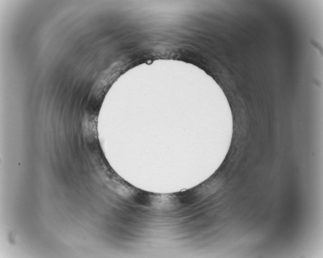 X0000103470432200810100939