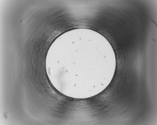 X0000103470433200810100938
