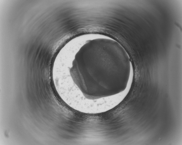 X0000103470438200810100938