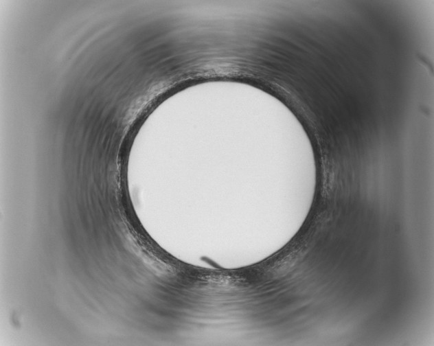 X0000103470439200810100938